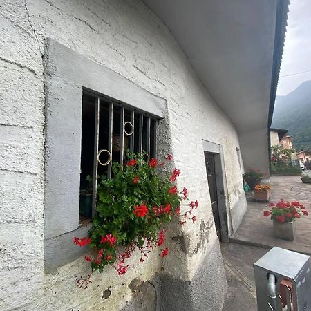 Casa Vacanze Il Pettirosso. بيسوني المظهر الخارجي الصورة