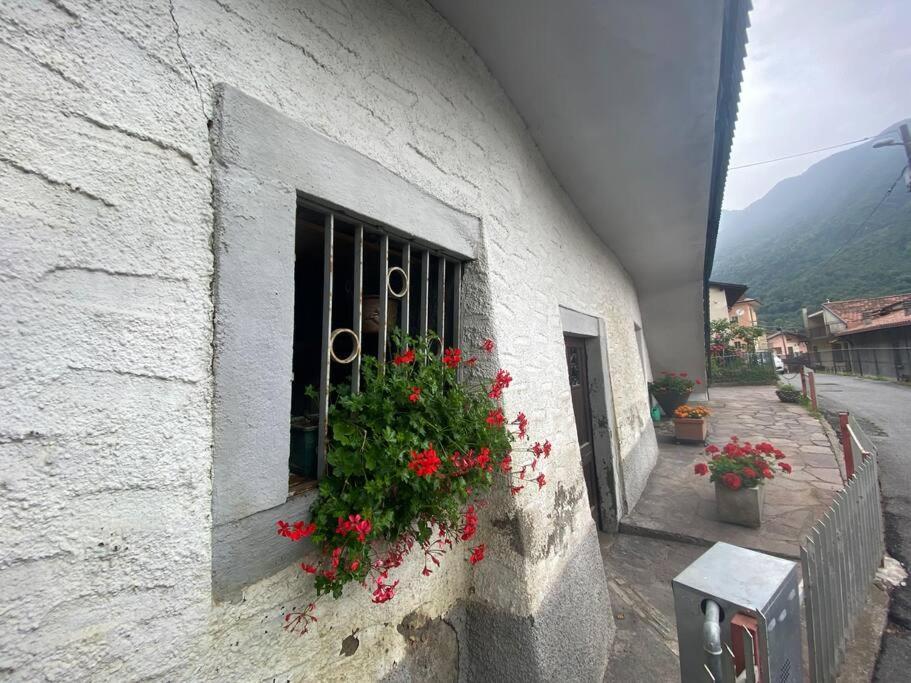 Casa Vacanze Il Pettirosso. بيسوني المظهر الخارجي الصورة