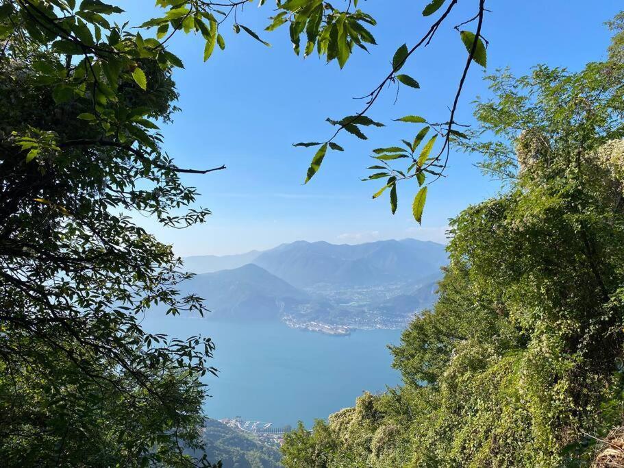 Casa Vacanze Il Pettirosso. بيسوني المظهر الخارجي الصورة
