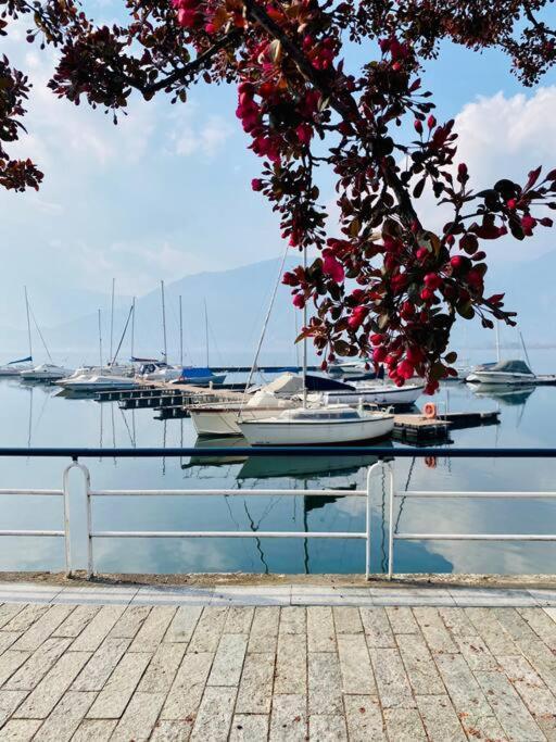 Casa Vacanze Il Pettirosso. بيسوني المظهر الخارجي الصورة