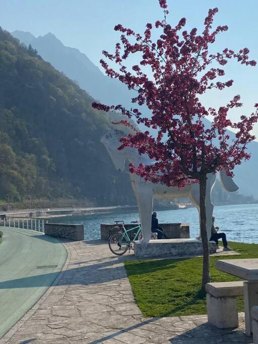 Casa Vacanze Il Pettirosso. بيسوني المظهر الخارجي الصورة
