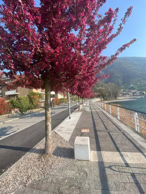 Casa Vacanze Il Pettirosso. بيسوني المظهر الخارجي الصورة