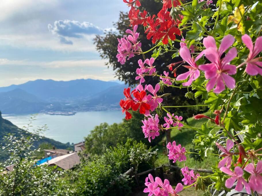 Casa Vacanze Il Pettirosso. بيسوني المظهر الخارجي الصورة